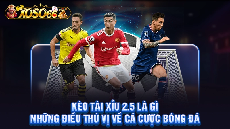 Kèo Tài Xỉu 2.5 Là Gì - Những Điều Thú Vị Về Cá Cược Bóng Đá