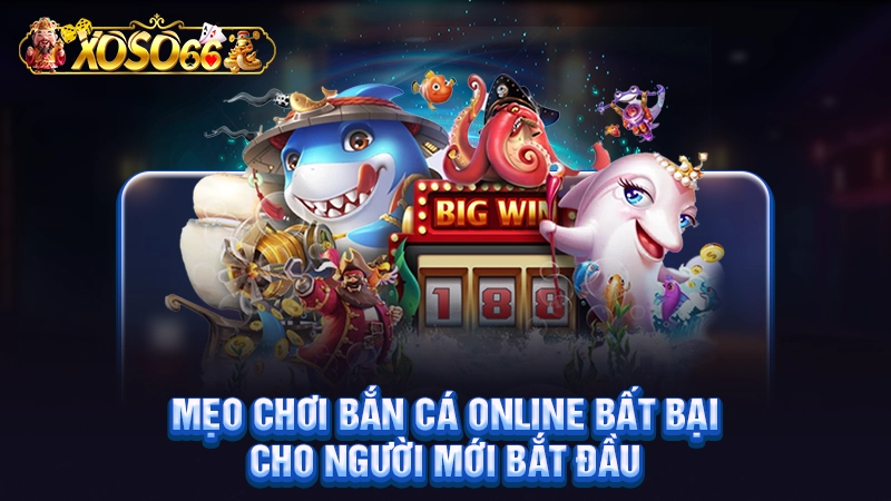 Mẹo Chơi Bắn Cá Online Bất Bại Cho Người Mới Bắt Đầu