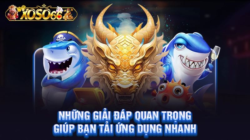 Những giải đáp quan trọng giúp bạn tải ứng dụng nhanh