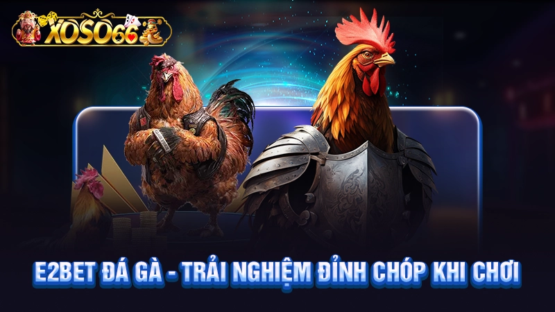 E2bet đá gà - Trải nghiệm đỉnh chóp khi chơi 