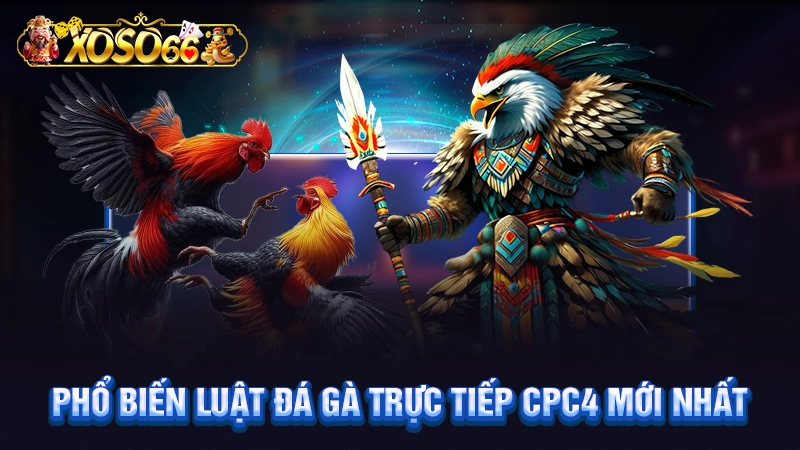 Phổ biến luật đá gà trực tiếp CPC4 mới nhất